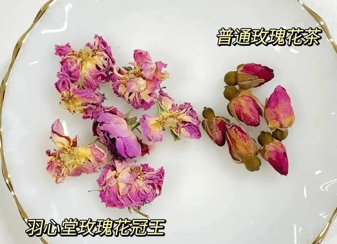 场的好物这次优惠不要错过CQ9电子推广你们催着返(图30)